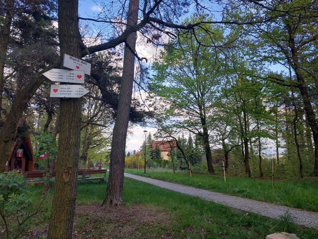 Willa Polanica w Polanicy Zdroju Villa Polanica galeria